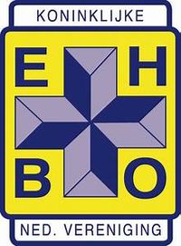 Logo EHBO WEbsite